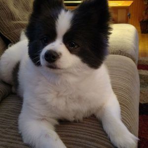 Meet your Posher, Lori